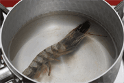 토마토덮밥 조리 과정 4